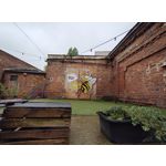 Zdjęcia użytkowników Motorola Edge 50 Pro