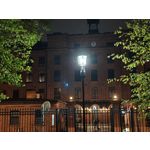 Zdjęcia użytkowników Motorola Edge 50 Pro