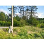 Zdjęcia użytkowników Motorola Edge 50 Pro