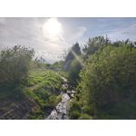 Zdjęcia użytkowników Motorola Edge 50 Pro