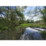 Zdjęcia użytkowników Motorola Edge 50 Pro