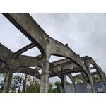 Zdjęcia użytkowników Motorola Edge 50 Pro