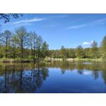 Zdjęcia użytkowników Motorola Edge 50 Pro