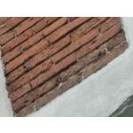 Zdjęcia użytkowników Motorola Edge 50 Pro