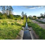 Zdjęcia użytkowników Motorola Edge 50 Pro