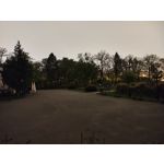 Zdjęcia użytkowników Motorola Edge 50 Pro