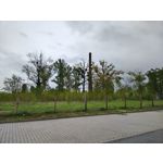 Zdjęcia użytkowników Motorola Edge 50 Pro