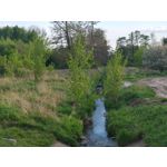 Zdjęcia użytkowników Motorola Edge 50 Pro