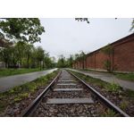 Zdjęcia użytkowników Motorola Edge 50 Pro