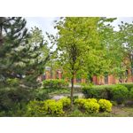 Zdjęcia użytkowników Motorola Edge 50 Pro