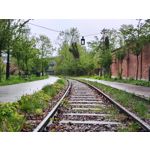 Zdjęcia użytkowników Motorola Edge 50 Pro