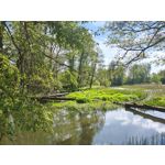 Zdjęcia użytkowników Motorola Edge 50 Pro