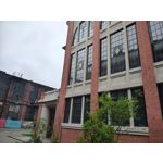 Zdjęcia użytkowników Motorola Edge 50 Pro