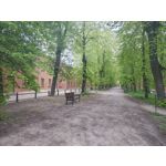 Zdjęcia użytkowników Motorola Edge 50 Pro