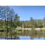 Zdjęcia użytkowników Motorola Edge 50 Pro