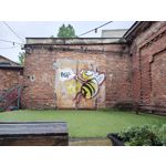 Zdjęcia użytkowników Motorola Edge 50 Pro