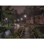 Zdjęcia użytkowników Motorola Edge 50 Pro