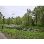 Zdjęcia użytkowników Motorola Edge 50 Pro