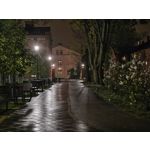 Zdjęcia użytkowników Motorola Edge 50 Pro