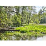 Zdjęcia użytkowników Motorola Edge 50 Pro