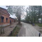 Zdjęcia użytkowników Motorola Edge 50 Pro