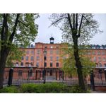 Zdjęcia użytkowników Motorola Edge 50 Pro