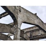 Zdjęcia użytkowników Motorola Edge 50 Pro