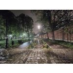 Zdjęcia użytkowników Motorola Edge 50 Pro