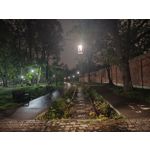 Zdjęcia użytkowników Motorola Edge 50 Pro