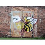 Zdjęcia użytkowników Motorola Edge 50 Pro