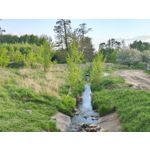 Zdjęcia użytkowników Motorola Edge 50 Pro