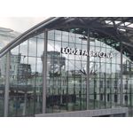 Zdjęcia użytkowników Motorola Edge 50 Pro