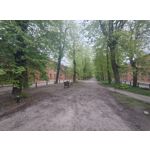 Zdjęcia użytkowników Motorola Edge 50 Pro