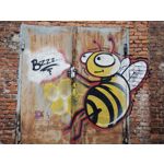 Zdjęcia użytkowników Motorola Edge 50 Pro