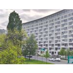 Zdjęcia użytkowników Motorola Edge 50 Pro