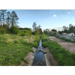 Zdjęcia użytkowników Motorola Edge 50 Pro