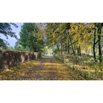 ZDJĘCIA Z TEGO TELEFONU