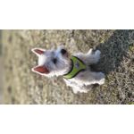 ZDJĘCIA Z TEGO TELEFONU