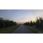 Zdjęcia użytkowników Motorola Edge 60 Pro