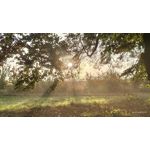 ZDJĘCIA Z TEGO TELEFONU