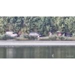 Zdjęcia użytkowników Motorola Edge 60 Pro