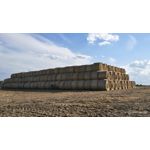 Zdjęcia użytkowników Motorola Edge 60 Pro