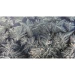 ZDJĘCIA Z TEGO TELEFONU