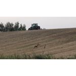 Zdjęcia użytkowników Motorola Edge 60 Pro