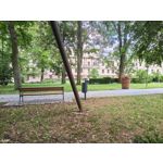 Zdjęcia użytkowników Motorola Edge 70 Pro