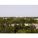 Zdjęcia użytkowników Motorola Edge 70 Pro