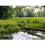 Zdjęcia użytkowników Motorola Edge 70 Pro