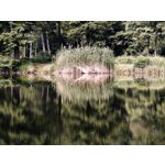 Zdjęcia użytkowników Motorola Edge 70 Pro
