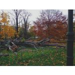 ZDJĘCIA Z TEGO TELEFONU