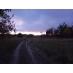 ZDJĘCIA Z TEGO TELEFONU